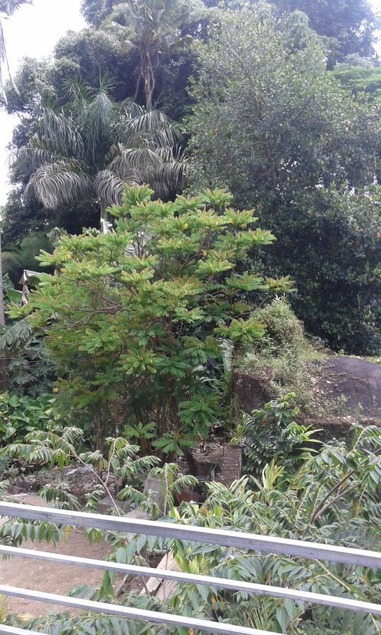 Madu Sentana House Hotell Ubud Eksteriør bilde